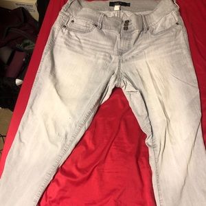 Torrid cropped pants